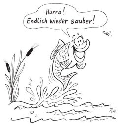 Fisch im Gewässer